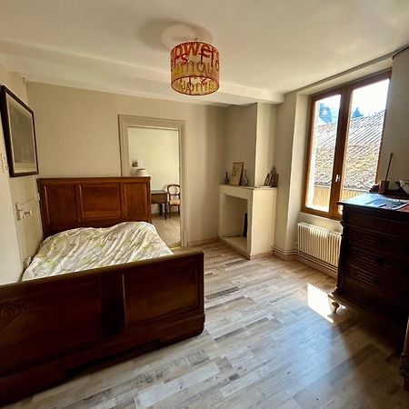 100Metres Du Chateau Au 116 Rue De La Republique 비질르 외부 사진